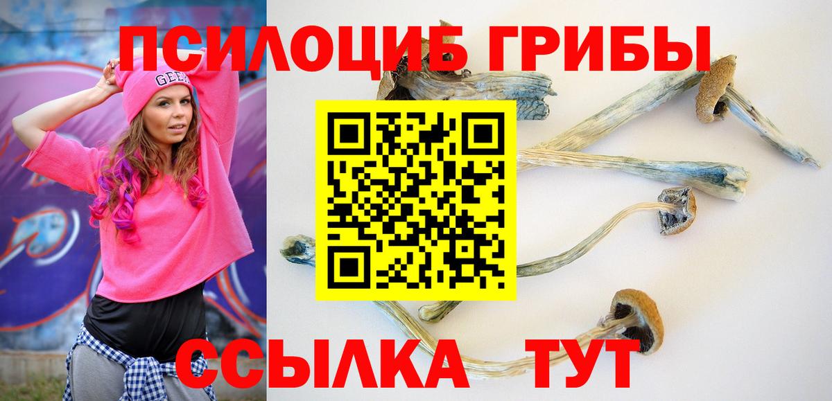 Псилоцибиновые грибы ЛСД Сочи